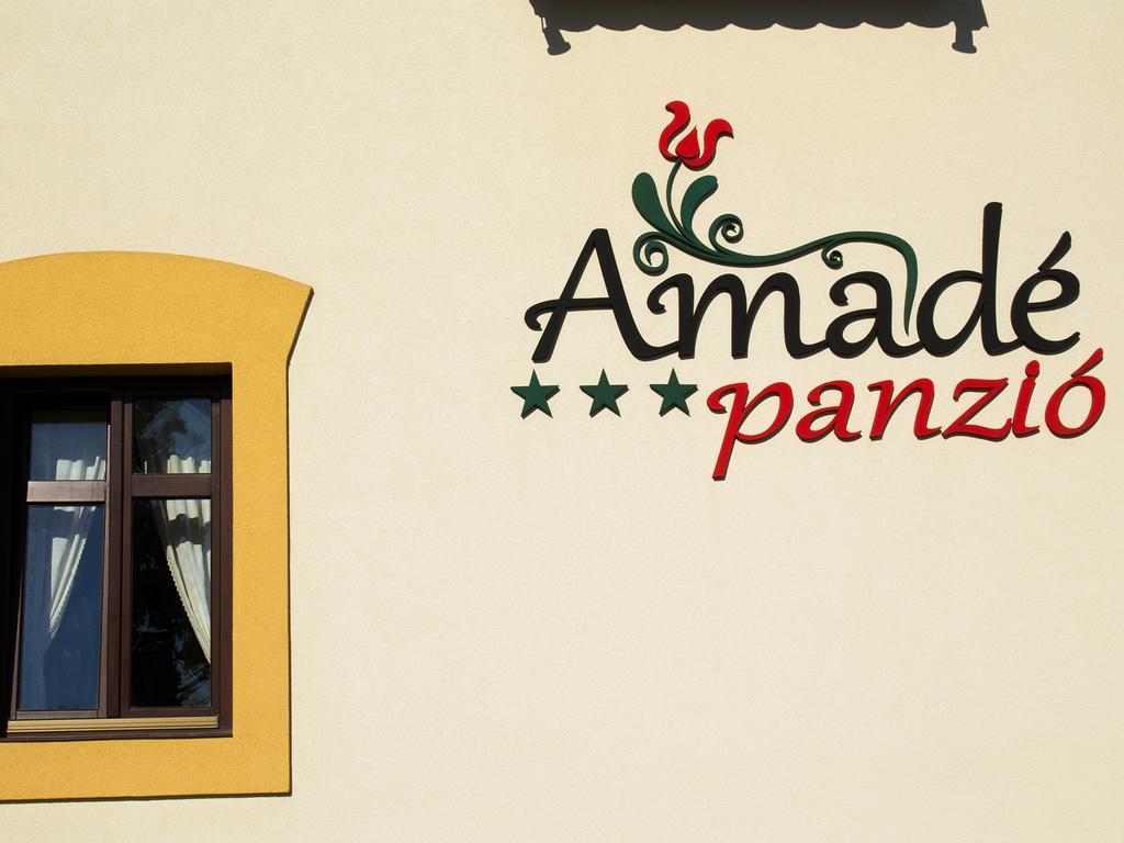 Siculeni Amade Pension & Restaurant מראה חיצוני תמונה